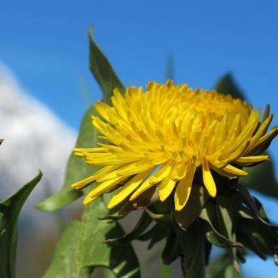 霓虹小怪向上跳无敌版